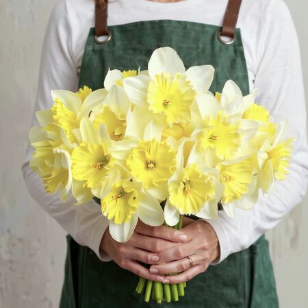 Ice Follies, Daffodil - 10 Bulbs image number null
